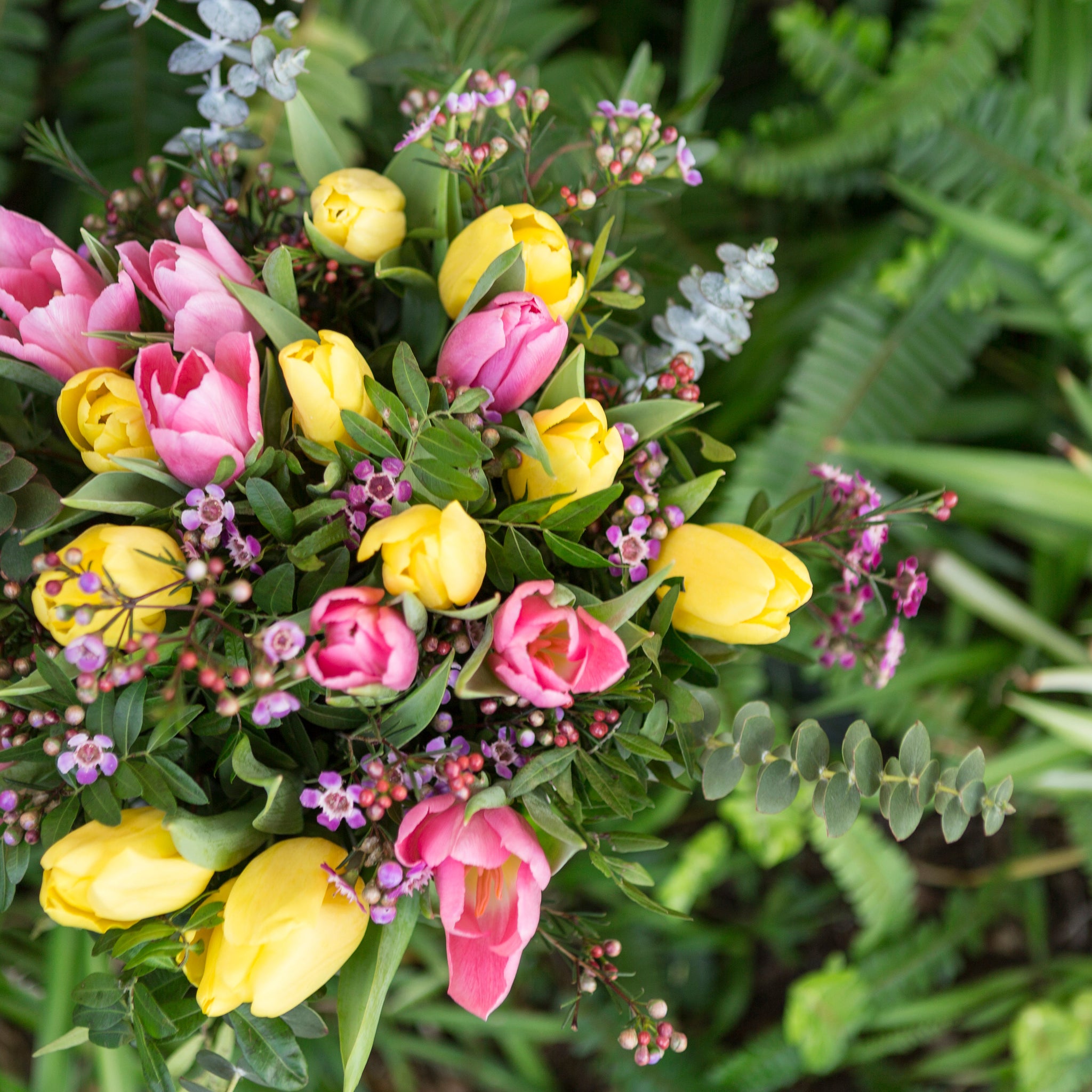 Seasonal Blooms: What Flowers to Look for This Spring