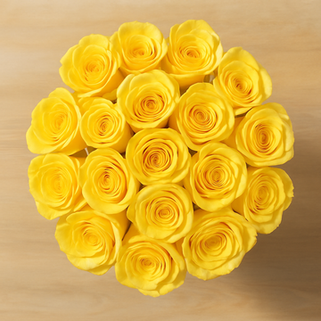 Yellow Rose